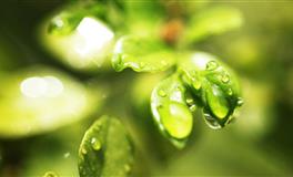 金牛座 慢热是我的保护色