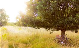 苏珊米勒每日运势2022年4月16-17日