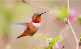 2022年4月-7月季度运势提醒：天秤座满月带来的极限拉扯与挑战（三）