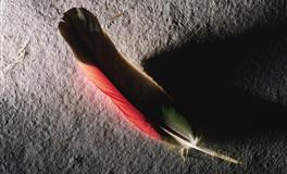 苏珊米勒每日运势2022年4月20日