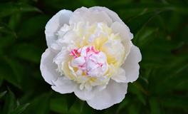 占星骑士处女座2022年4月感情运势