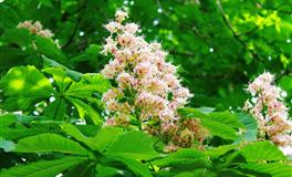 苏珊米勒每日运势2022年4月8日