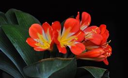 这俩星座待在一起，话题越聊越色色