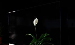 把你和哪个星座关在一起最容易来电