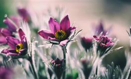 Kiddo天秤座一周运势（4.25-5.1）