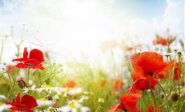 竹猫星球天秤座一周塔罗运势（4.4-4.10）