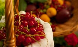 苏珊米勒每日运势2022年4月12日