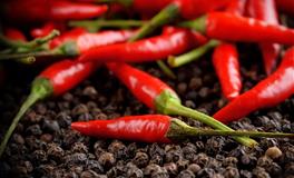 星座英语，左耳进右耳出……？