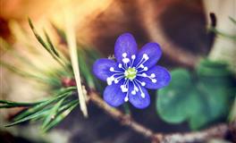 判答水瓶座2022年5月运势