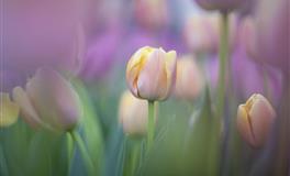 职场中能出奇制胜，靠创新改变，不断提升的三大星座