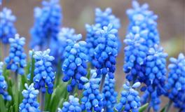 一辈子“先苦后甜”的生肖女，早年为了生活奔波忙碌，晚年却很幸福