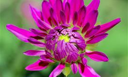 低调，不张扬，其实能力极强的三大星座