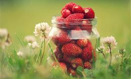 最有经济头脑的星座，排行榜公布！