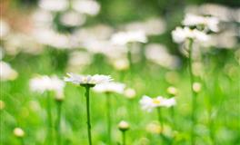 天性孤僻，喜欢独来独往的三大星座，不合群，却有真本事