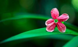 十二星座的哪方面，容易让前任怀念？感动12星座最佳手段