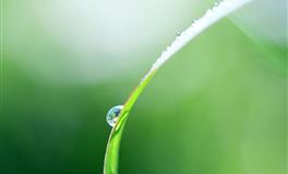 这四个星座有什么致命缺点？容易因此，被人全盘否定