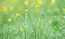 不靠男人，只靠自己一样拥有“富婆”命的几大星座