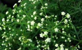 利益至上的星座，只讲利益，希望你们可以将感情看得重一点