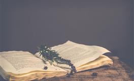 占星骑士射手座2022年5月感情提示（2022.5.1-2022.5.29）