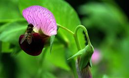 苏珊米勒每日运势2022年5月17日