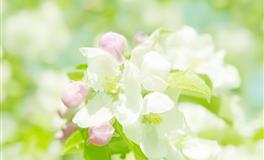 神叨酱心灵疗愈指引2022年5月22日