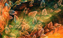 神叨酱心灵疗愈指引2022年5月27日