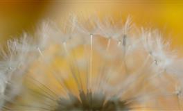 苏珊米勒每日运势2022年5月13日