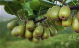 苏珊米勒每日运势2022年5月4日