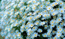 神叨酱2022年5月星座运势