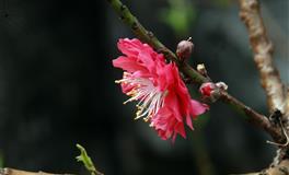 静电鱼射手座一周运势(5.30-6.5)