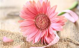 水星逆行(5.10-6.3)：十二星座需要注意了