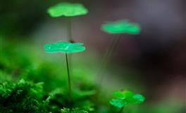 性格成熟的星座，懂得适可而止，还是注重家庭？