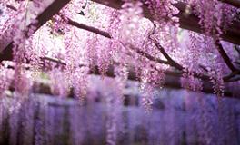 杀破狼天蝎座一周运势(5.16-5.22)