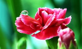 苏珊米勒2022年5月星座运势