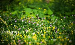 Alex水瓶座一周运势（5.23-5.29）