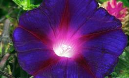 帕特里克12星座一周爱情运势（5.23-5.29）