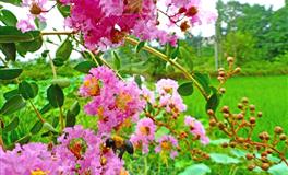 静电鱼水瓶座一周运势(5.16-5.22)