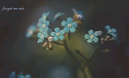 塔娜兹：2022年5月水星逆行运程