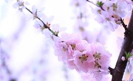 马乔丽2022年5月星座运势