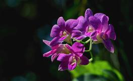 星象播报：木星进入白羊座（2022年6月至2023年年中）