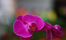 2022年6月财运上涨和下跌最狠的属相都是谁？