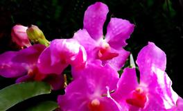 苏珊米勒每日运势2022年5月31日