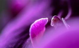 苏珊米勒每日运势2022年5月5日