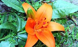 莫测之星2022年6月星座爱情婚恋运势