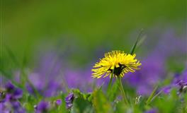 苏珊米勒每日运势2022年5月18日