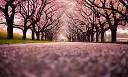 静电鱼处女座一周运势(6.13-6.19)