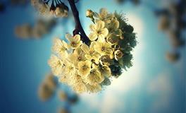 杀破狼巨蟹座一周运势(6.20-6.26)