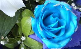 射手座满月  2022年重要的结算时间来了