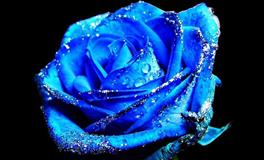 恋爱秘籍与12生肖男友的相处要诀