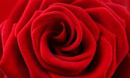 裴恩占星射手座一周运势（6.20-6.26）